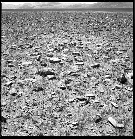 Silver Gelatine Print, 2010