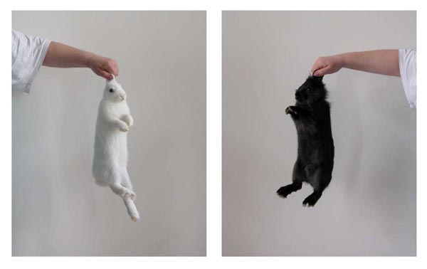 Lola und Loli, 2000/2009