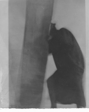 aus dem selbstgezimmerten leben