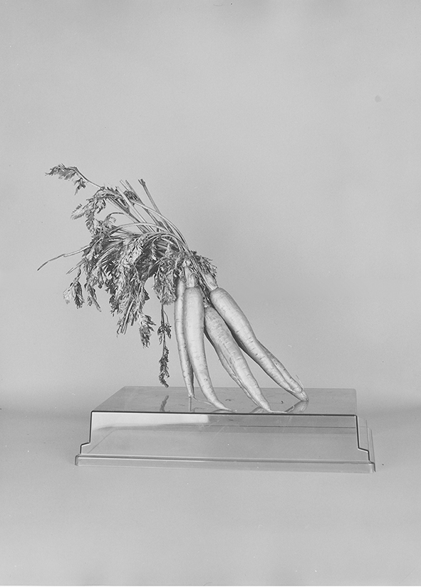 yours and mine, 2018