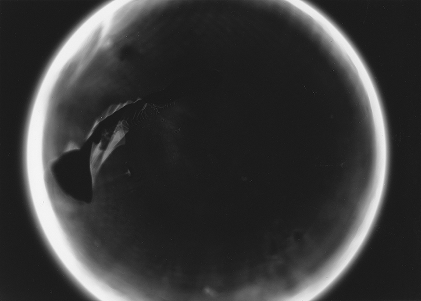 More than one/or two, 2018