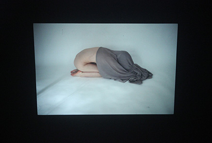 „Refugium“, 2012